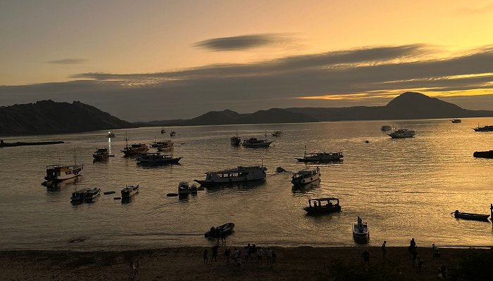 Padar Island, Bose Phinisi, Bose Speedboat, Boat trip Labuan Bajo, Komodo boat trip, Komodo Island boat, Komodo tour Lombok, Komodo boat trip, Komodo boat trip, Bose, Komodoexplore, Komodoboatstour, Komodo boat tour sailing at sunrise near Padar Island, Indonesia, Komodo Snorkeling Tour,
Padar Island Hiking Guide,
Komodo Travel Tips for First-Timers