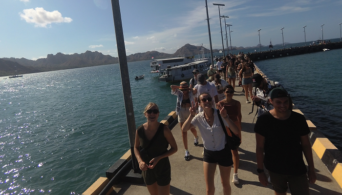Bridge Komodo Island, boat trip to komodo island, komodo dragon, komodo trip, komodo adventure, komodo boat tour, komodo boat trip