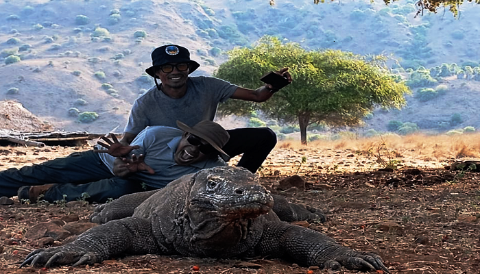 Komodo Tour, Holiday on Komodo Island, Cheapest Komodo Tour Packages 2025, komodo island, Komodo Tourism, Komodo National Park