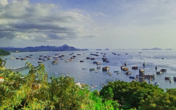 feel the thrill, capture the soul of komodo, komodo boats tour, Cheapest Komodo Tour Packages 2025, sailing boat labuan bajo