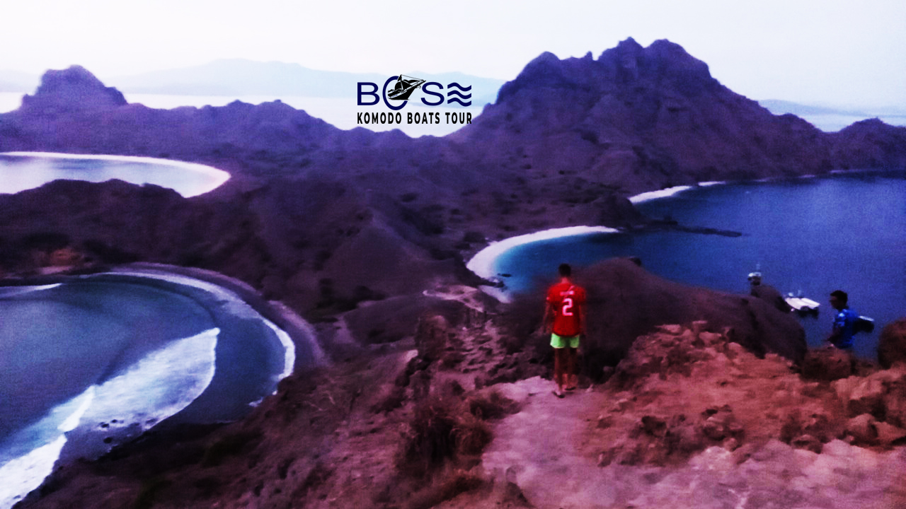 komodo boat trip 4D/3N, Bose phinisi, Bose Speedboat, trekking on Komodo Island, best hiking trails in NTT, Padar Island,