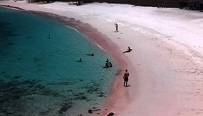 Padar Island, Bose Phinisi, Bose Speedboat,
Boat trip Labuan Bajo, Komodo boat trip,
Komodo Island boat, Komodo tour Lombok,
Komodo boat trip, Komodo boat trip, Bose,
Komodo explore, Komodo boats tour,
Komodo boat tour sailing at sunrise near Padar Island, Indonesia, Pink sand beach in Komodo National Park with turquoise sea, Komodo Snorkeling Tour,
Padar Island Hiking Guide,
Komodo Travel Tips for First-Timers