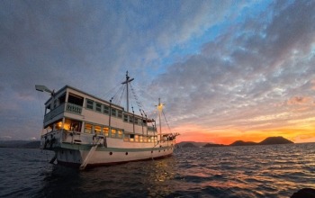 komodo cruise from lombok, komodo luxury lombok, komodo luxury cruise, Komodo Boat Tour, komodo boat trip, komodo Tour