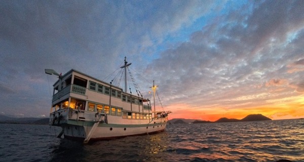 komodo cruise from lombok, komodo luxury lombok, komodo luxury cruise, Komodo Boat Tour, komodo boat trip, komodo Tour