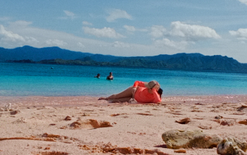 Pink Beach Komodo, Komodo National Park, Komodo Travel Guide, Indonesia Beaches, Unique Beaches in the World, Pink Sand Beach