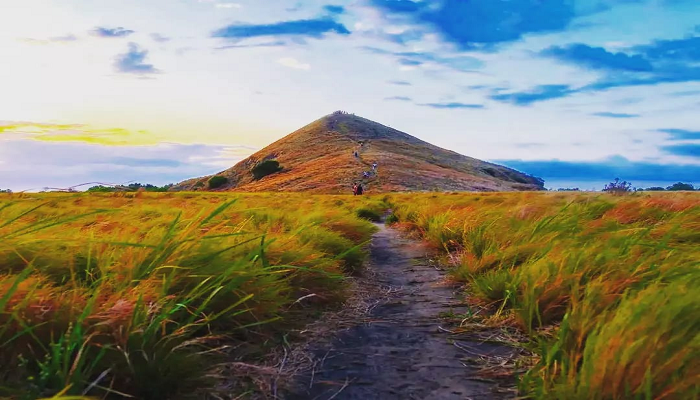 komodo island boat tour 3D 2N, komodo tour package, komodo boat tour 4D 3N, komodo island luxury boat, best komodo boat tour