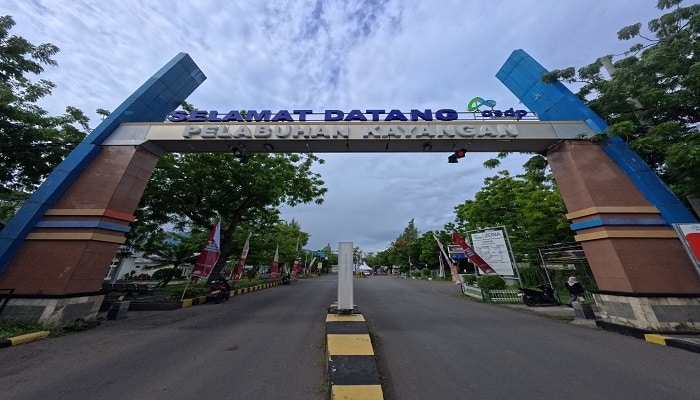 komodo luxury cruise, komodo national park tours, komodo tour, komodo tour packages, tour to komodo, komodo indonesia tours