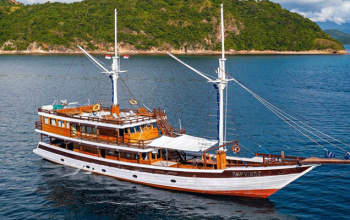 Komodo Open Trip, Private Komodo Cruise, Komodo Boat Tour, Komodo Travel Guide, Komodo Island Tour, komodo luxury cruise