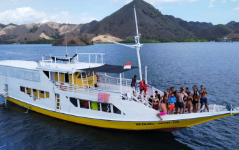Lombok to Labuan Bajo 4D3N Komodo boat tour with whale sharks, Komodo dragons, Pink Beach, and Padar Island trekking.