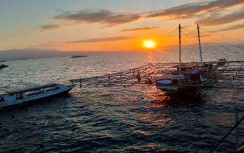 Traditional Indonesian Bagang fishing platform floating on calm waters in Saleh Bay at sunrise, with whale sharks swimming below.
