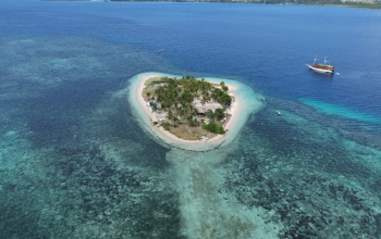 Coconut trees and pristine sand meeting the blue sea at Pulau Bedil, Indonesia
