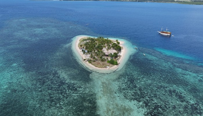 Coconut trees and pristine sand meeting the blue sea at Pulau Bedil, Indonesia