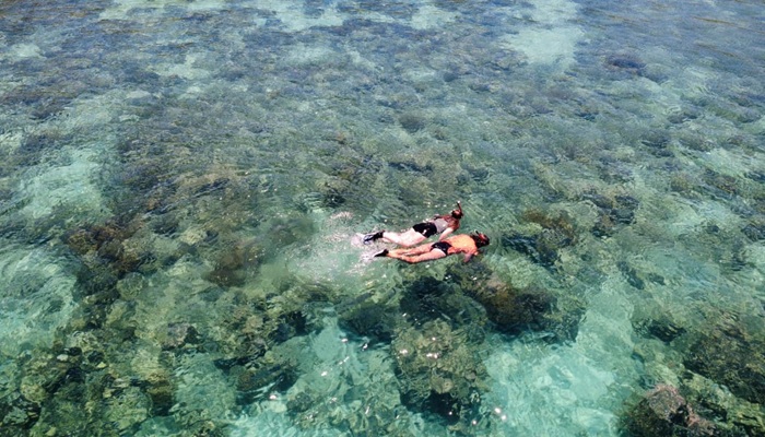 Snorkelers swimming above coral reefs at Manjarite Beach, Komodo, Indonesia