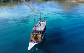Snorkelers swimming above coral reefs at Manjarite Beach, Komodo, Indonesia