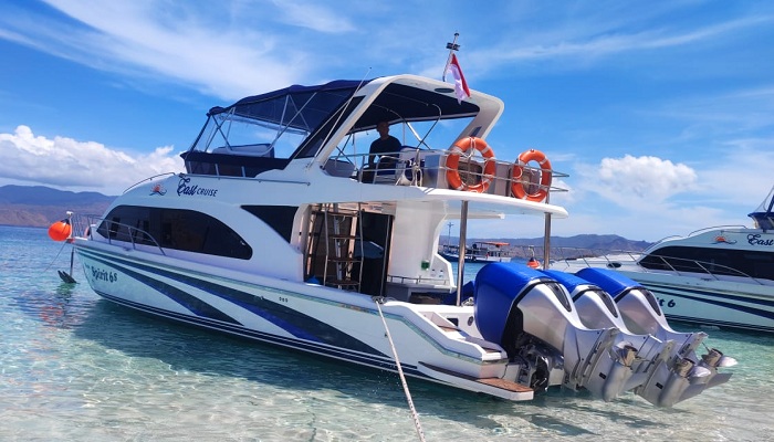 one day tour komodo island, komodo tours, komodo tour from labuan bajo, komodo tour package, one day trip komodo island