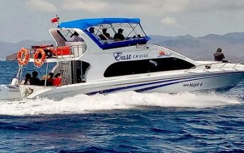 one day tour komodo island, komodo tours, komodo tour from labuan bajo, komodo tour package, one day trip komodo island