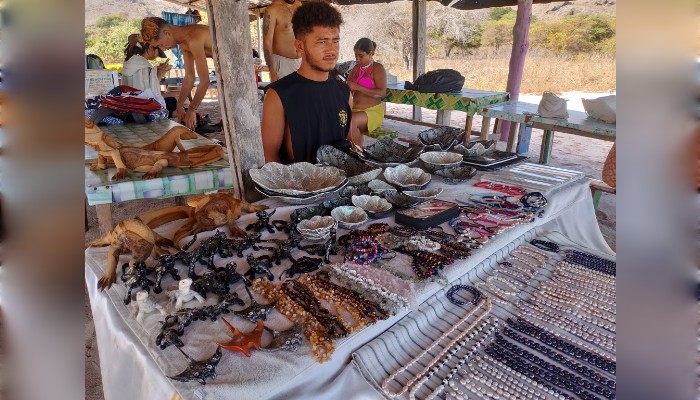 A variety of luxury phinisi boats and speedboats offering the best Komodo tour packages in Labuan Bajo