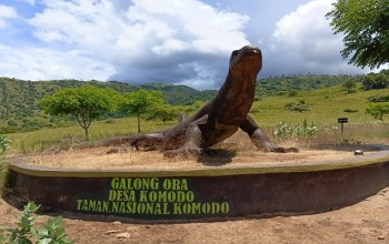 komodo trip