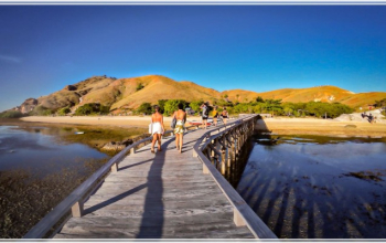 Why a Komodo Island Tour Should Be on Your Bucket List 2026