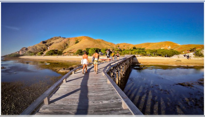 Why a Komodo Island Tour Should Be on Your Bucket List 2026